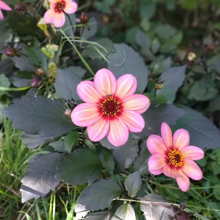 Slapen Bij De Molenaar * Leerdam