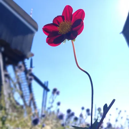 Slapen Bij De Molenaar Leerdam