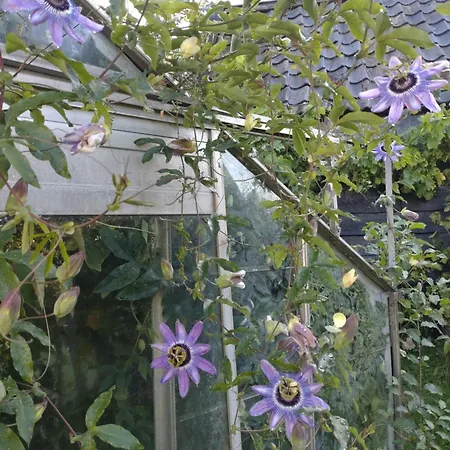 Slapen Bij De Molenaar