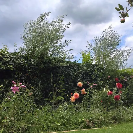 Slapen Bij De Molenaar * Leerdam