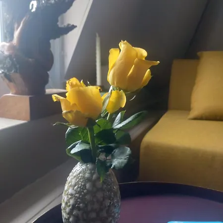 Slapen Bij De Molenaar *