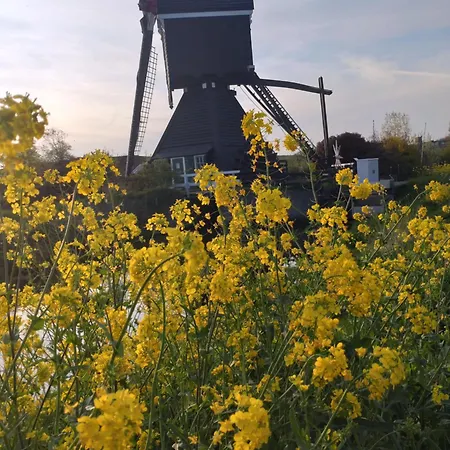 Slapen Bij De Molenaar