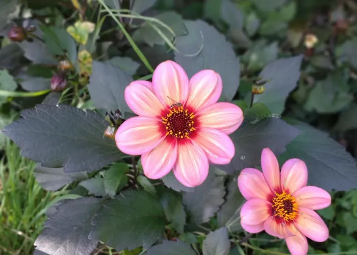 Slapen Bij De Molenaar * Leerdam