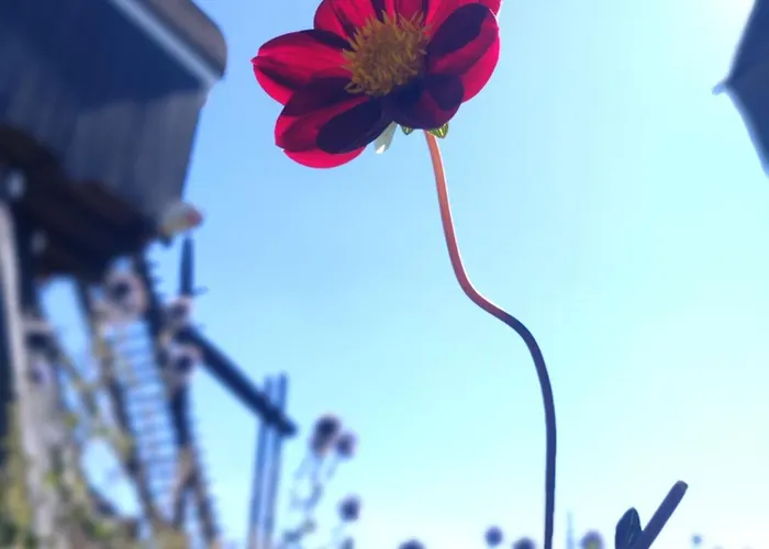 Slapen Bij De Molenaar Leerdam