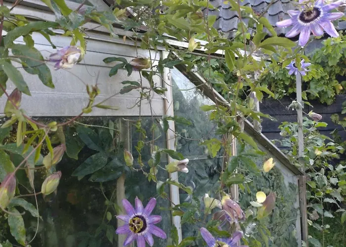 Slapen Bij De Molenaar