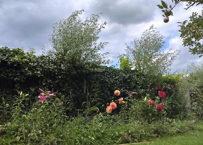 Slapen Bij De Molenaar * Leerdam