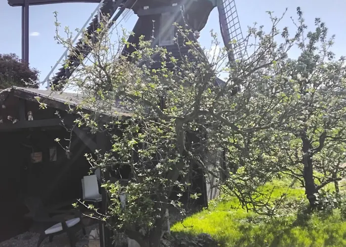 Slapen Bij De Molenaar Feriehus Leerdam