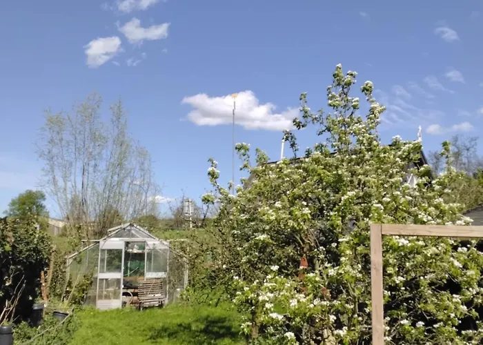 Slapen Bij De Molenaar