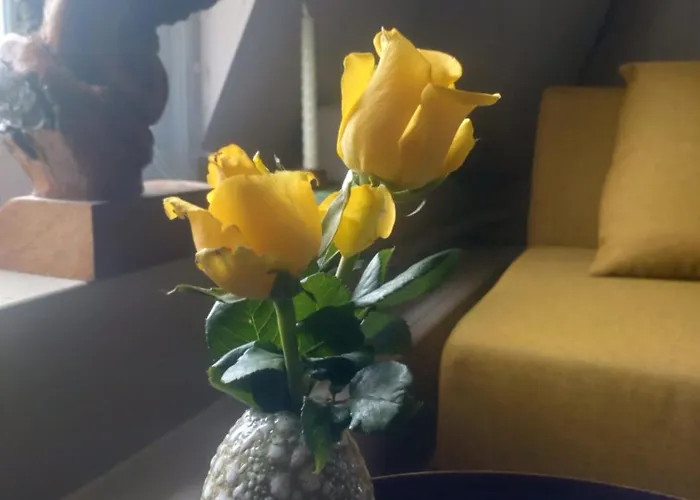 Slapen Bij De Molenaar *