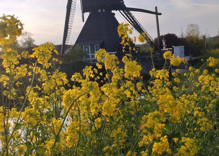 Slapen Bij De Molenaar